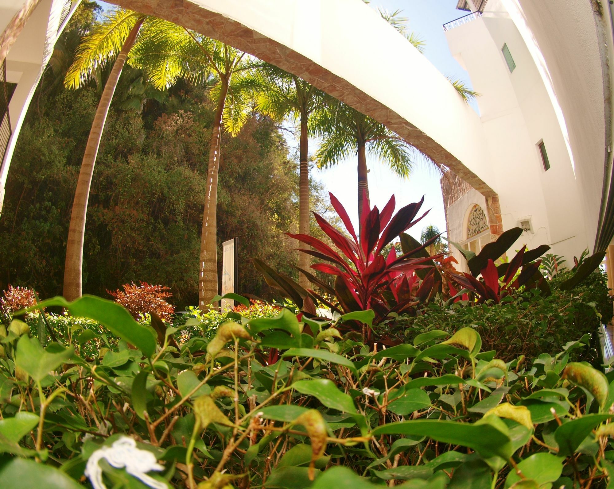 Mondavi Hotel Puerto Vallarta Exterior photo